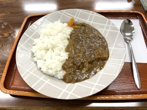 今日の昼は