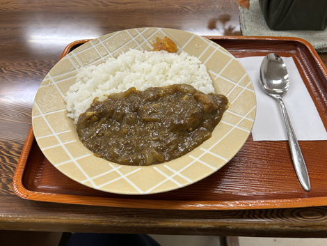 今日の昼は